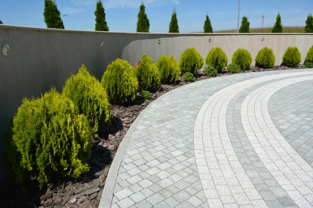 Best Decorative Driveway Pavers  in Lake Forest, CA